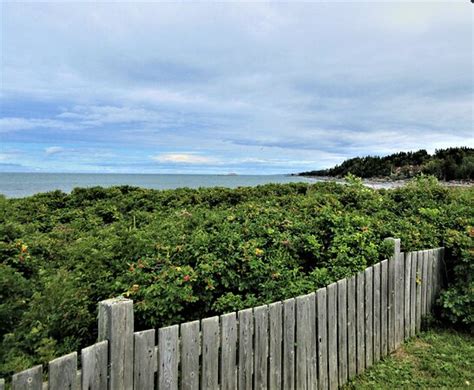 The Best Metis-sur-Mer Beach Hotels 2025 (with Prices) - Tripadvisor