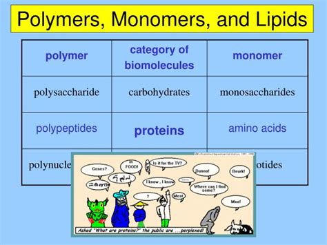 PPT - Chapter 5c: The Structure and Function of Macromolecules ...