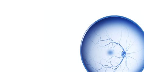 ZEISS Retina Workflow | ZEISS Medical Technology