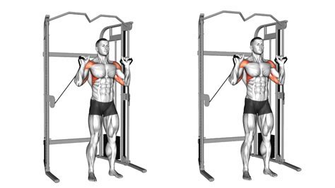 Best Cable Shoulder Workout & Exercises for 3D Deltoids - Fit Life Regime