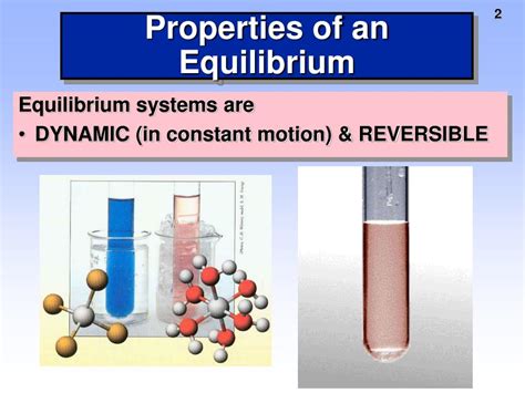 Image result for Real Life Examples of Dynamic Equilibrium