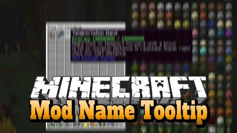 Image result for Minecraft Java Mod Name Future