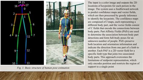 Pose Estimation Skeleton Model 26 Point Computer Vision 的图像结果