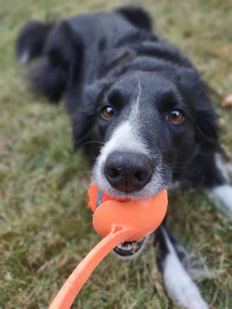 No take backs : r/Notakeonlythrow