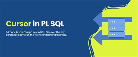 Image result for PL/SQL Developer Tutorial