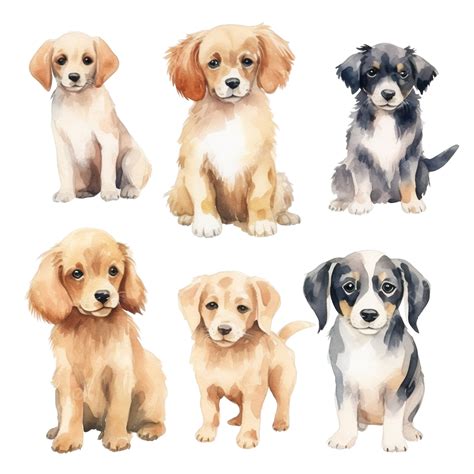 Watercolor Dog Clip Art Cute, Watercolor, Pet, Dog PNG Transparent ...