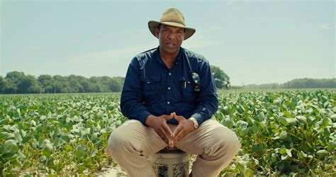 Impact Television 的图像结果