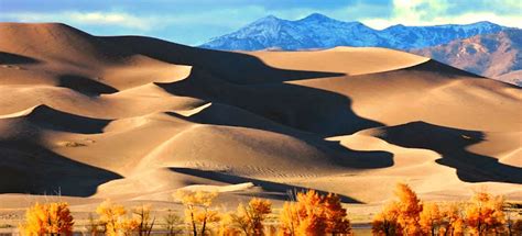 The Highest Sand Dunes in USA: Stunning Mountains of Sand