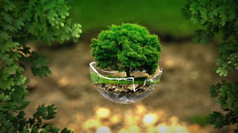 Image result for Choice Box Fxml Scene Builder JavaFX