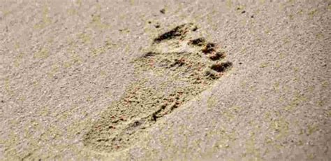 AI, The Investigator? Twin Studies Highlight AI's Role In Identifying ...