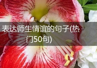 表达师生情谊的句子(热门50句)