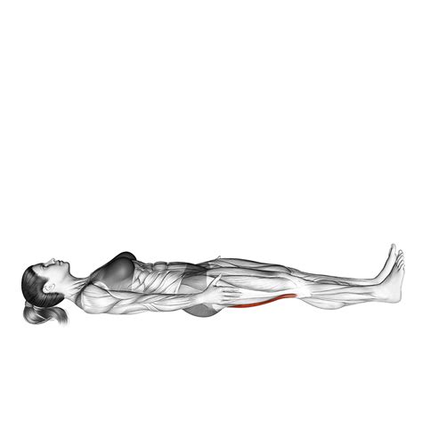 Supine Bicep Stretch