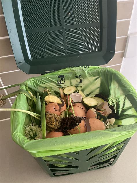 Food and organic waste | YourHome