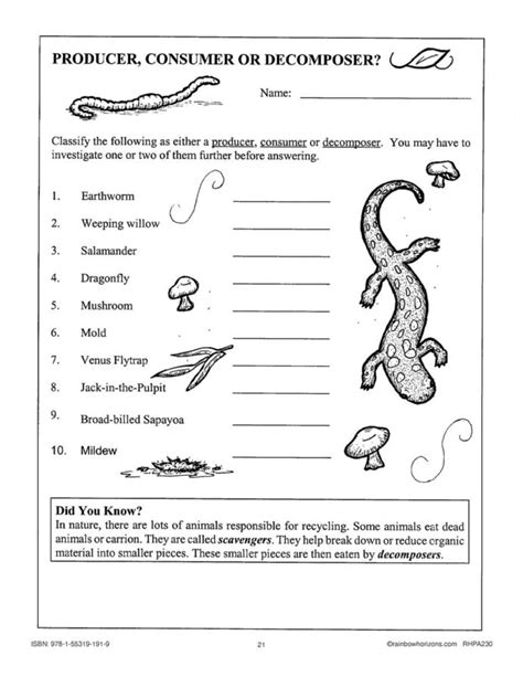 Image result for 4th Grade Science Print Out Example