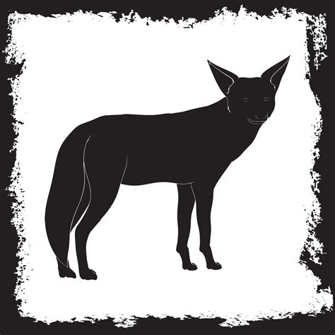 Silhouette Of Zorro