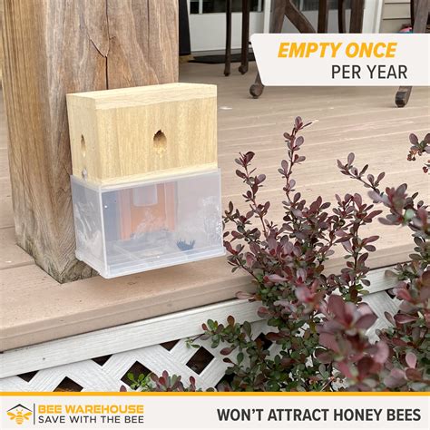 Bees N Things | Carpenter Bee Traps