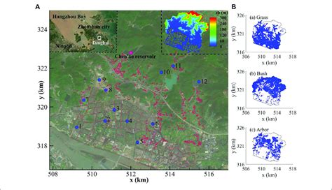 Image result for Vegetations Field Study Examples