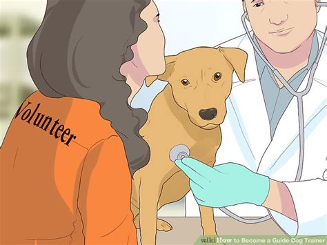 Image result for Guide Dog Trainer