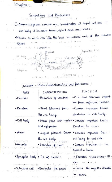 Class 10 Bio Chapter 1 的图像结果