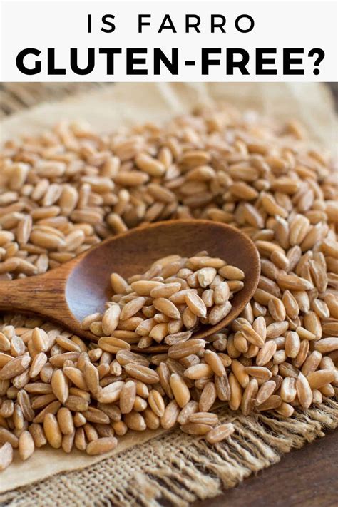 Is Oat Milk Gluten-Free? BRANDS THAT ARE! - Meaningful Eats