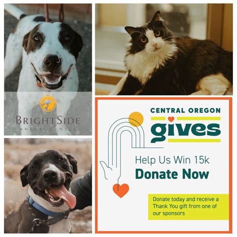 BrightSide Animal Center – Redmond, Oregon