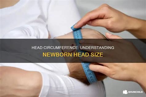 Image result for Normal Head Size