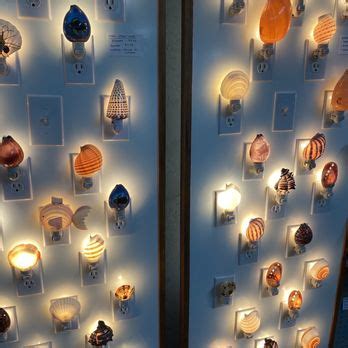 Image result for Shell World