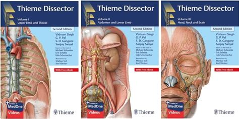 Buy Vishram Singh (Author) & Thieme (Author) Thieme Dissector: 3 Volume ...