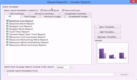 Image result for MS Project Layout Report Tab