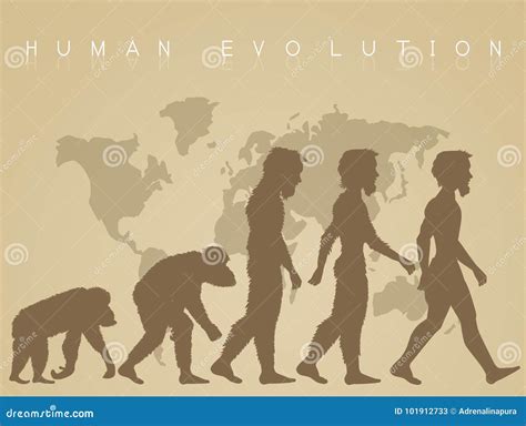 Image result for Human Evolution Cartoon