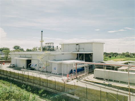 How Does Biomass Energy and Biogas Work? | BECIS