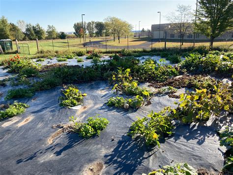 Dunn County Jail Garden