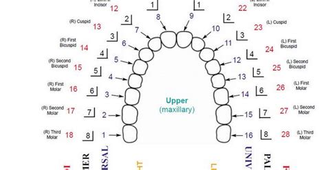 Number System Conversion 的图像结果