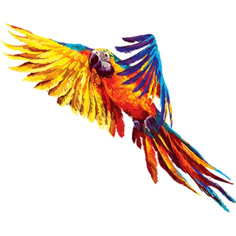 Image result for Vinyl Color Printer