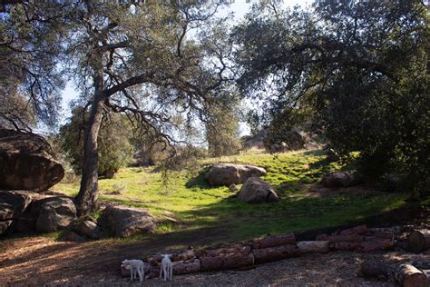 Field Trips — Kindred Spirits Care Farm