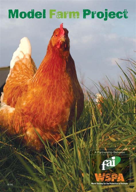 Image result for Model Farm Layout