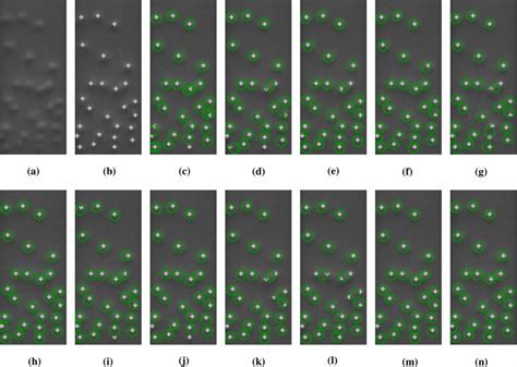 Image result for Particle Motion Detection Algorithm
