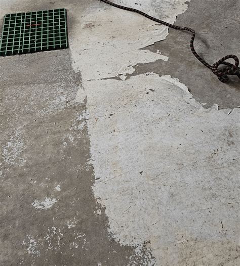 Garage floor Epoxy or Latex? What is this and how to remove? : r/DIY