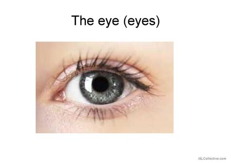 Image result for Face Features