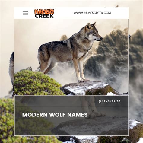 250 Wolf Names: Strong, Unique, And Unforgettable + AI Generator