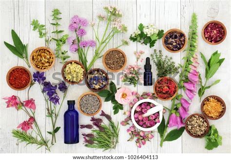 Natural Herbal Medicine 的图像结果