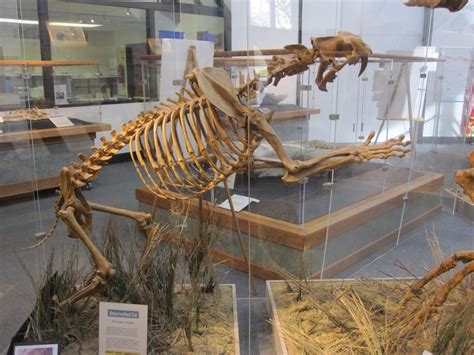 Ralph B. Clark Regional Park: A Great Place for an Outdoor Playdate in ...