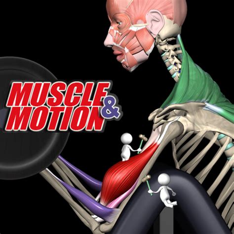 Image result for Muscle and Motion.com