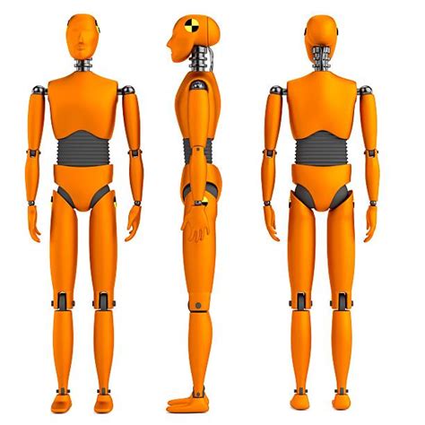 Image result for Dummy Testing