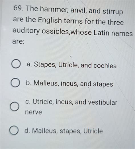 The hammer, anvil, and stirrup are the English terms for the three audito..