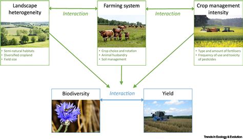 Intensive Vs Extensive Agriculture