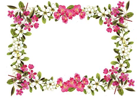 Png Flower Border - ClipArt Best