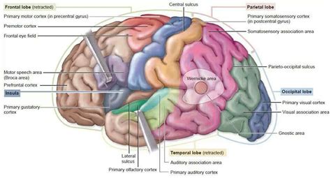 Image result for Cortex-R Vector Table