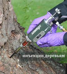 Инъекции - уколы деревьям, под кору. Внутристволовые инъекции для ...