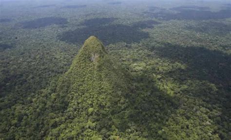 'Giant' Flying Squirrel Pulled From Ancient Sinkhole In Appalachian Mountains